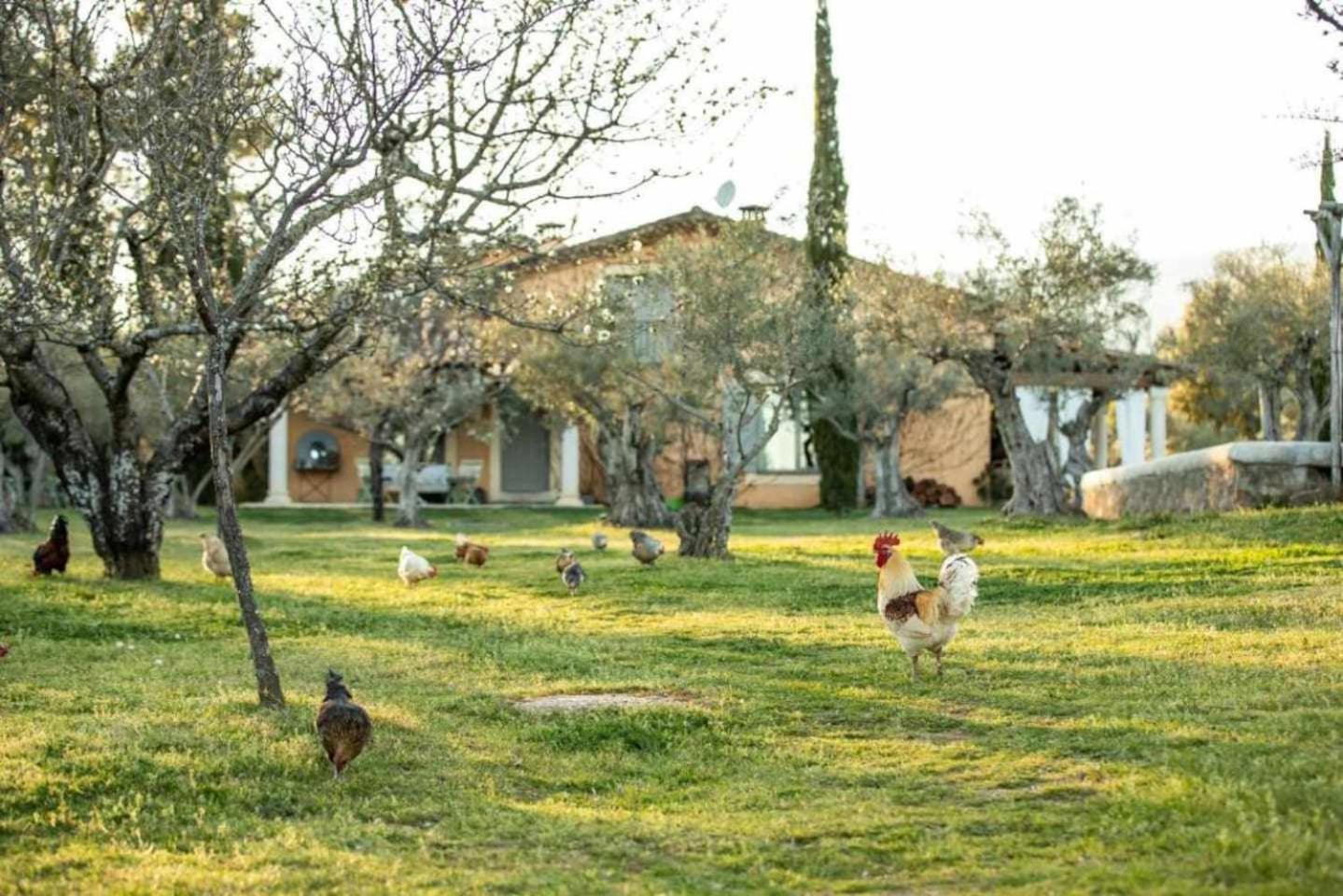 Vaqueria Cantaelgallo Jaraiz de la Vera Δωμάτιο φωτογραφία