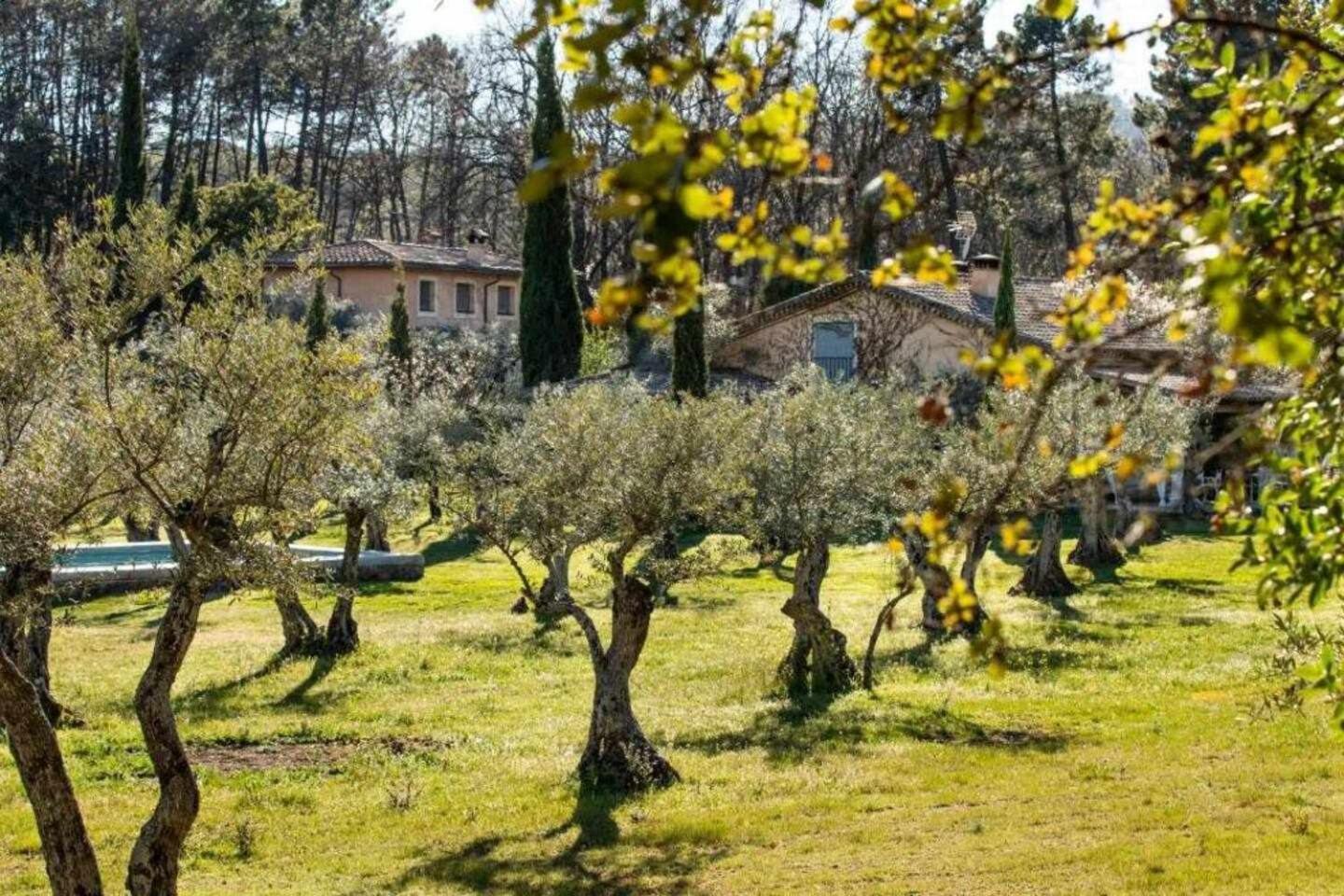 Vaqueria Cantaelgallo Jaraiz de la Vera Δωμάτιο φωτογραφία